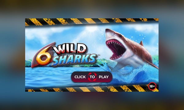 6 Wild Sharks slot art