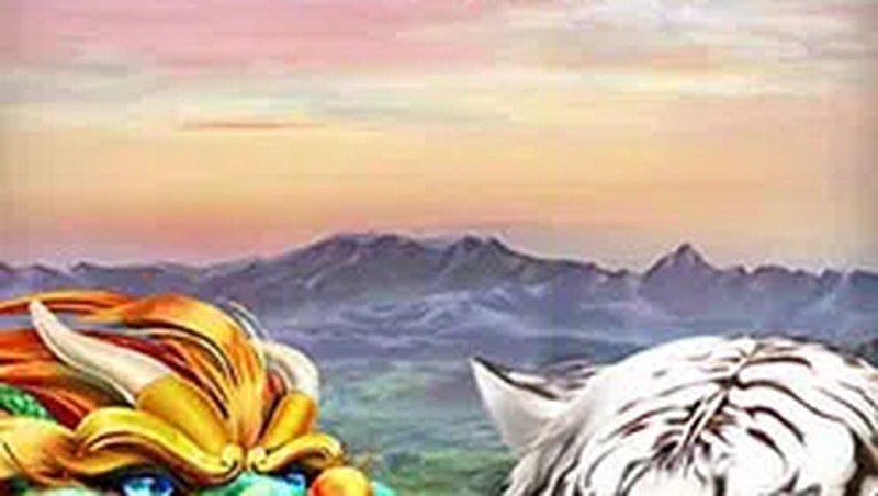 Tiger and Dragon gameplay