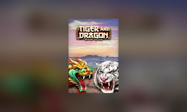 Tiger and Dragon slot art